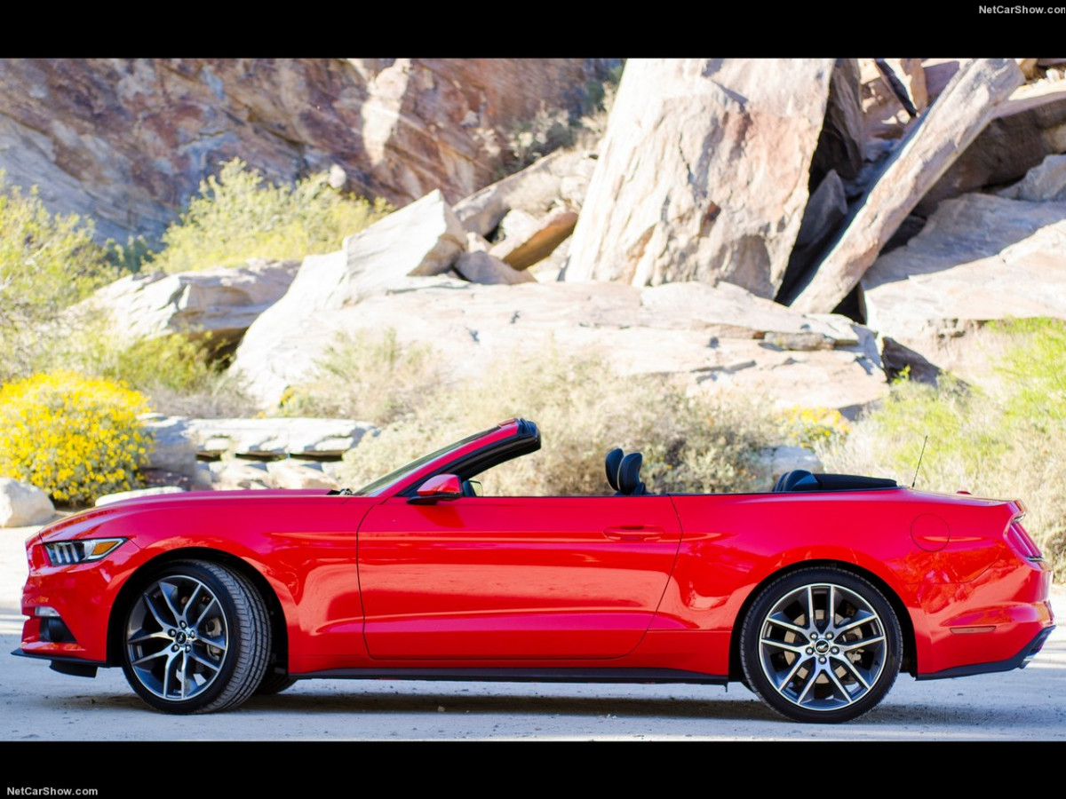 Ford Mustang Convertible фото 143409