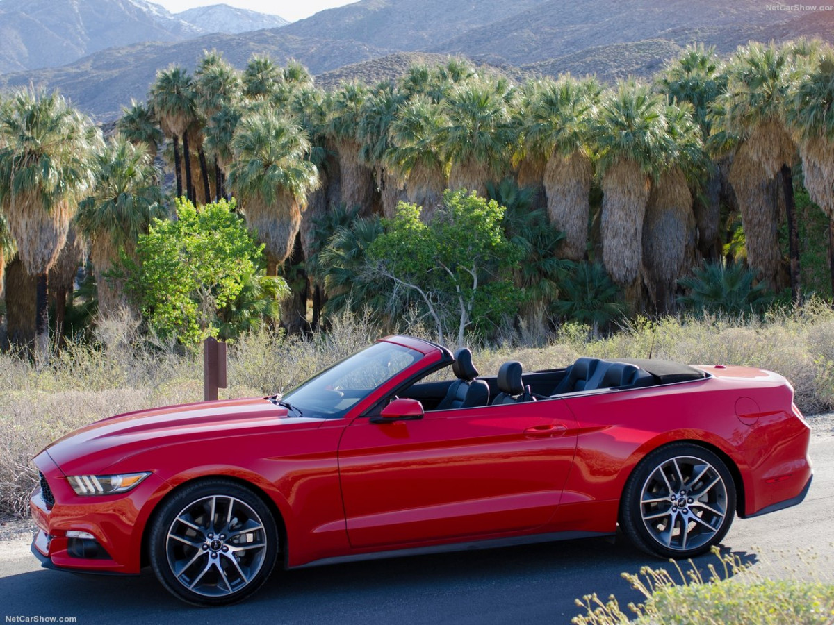 Ford Mustang Convertible фото 143442