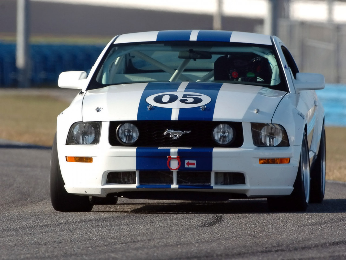 Ford Mustang GT фото 21439