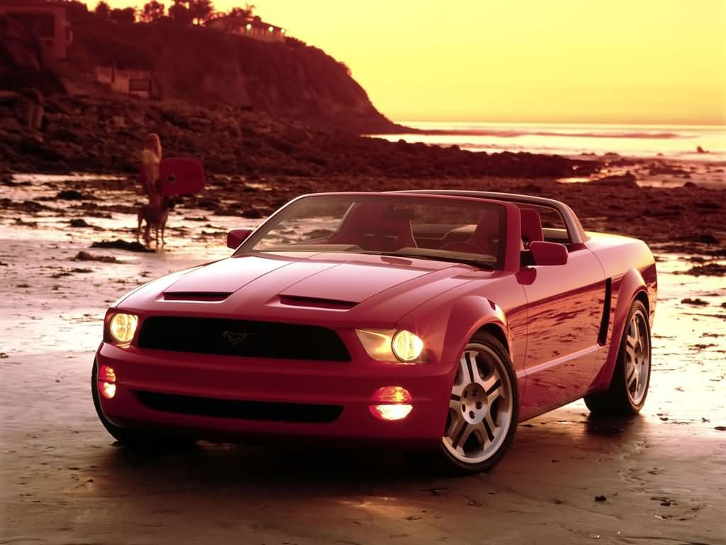 Ford Mustang GT фото 3374