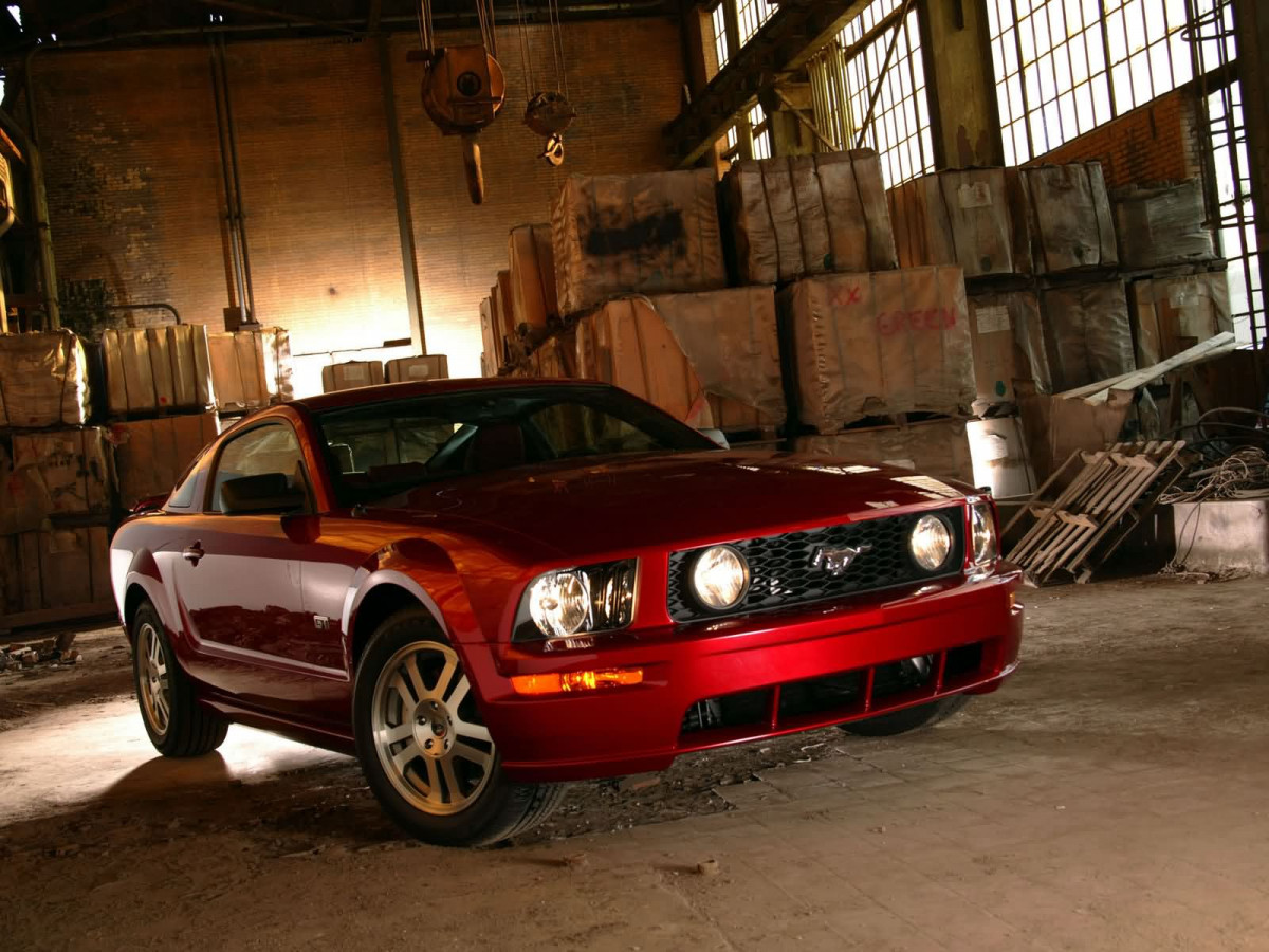 Ford Mustang GT фото 7584