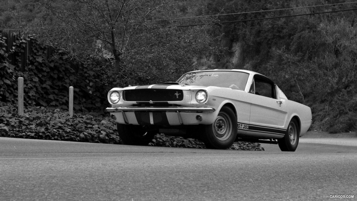 Ford Mustang Shelby GT350 фото 126845