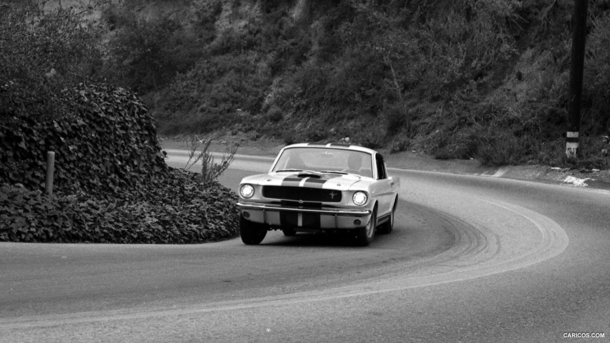 Ford Mustang Shelby GT350 фото 126846