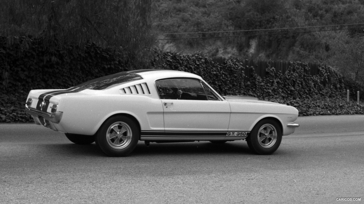 Ford Mustang Shelby GT350 фото 126848