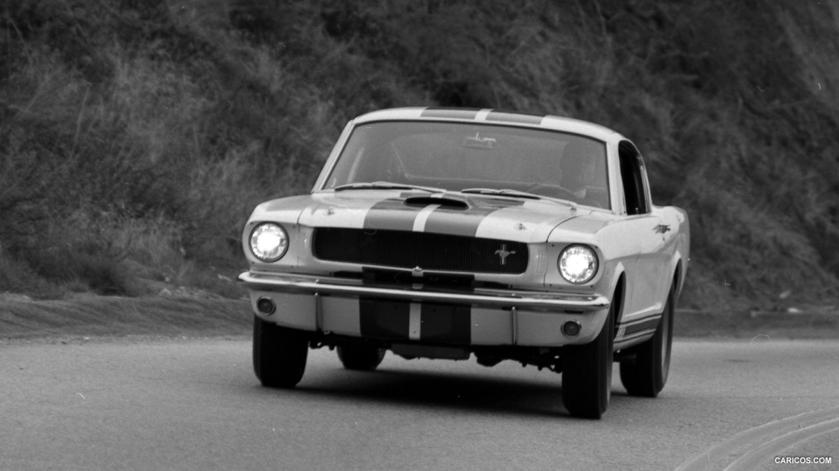 Ford Mustang Shelby GT350 фото 126851