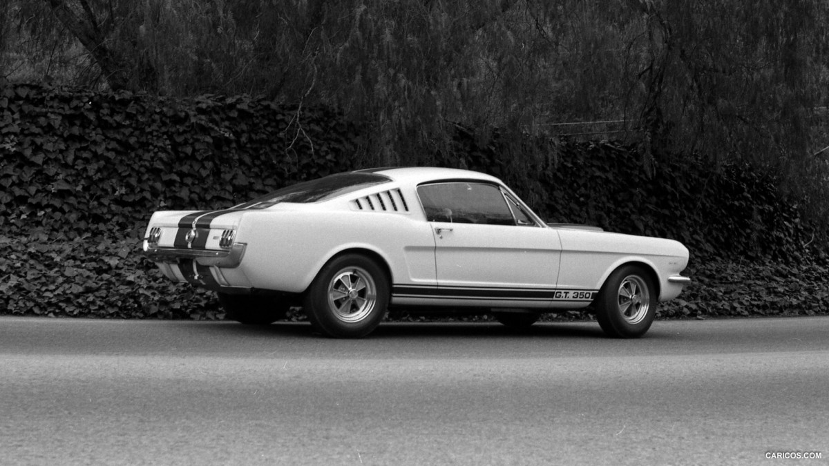 Ford Mustang Shelby GT350 фото 126853