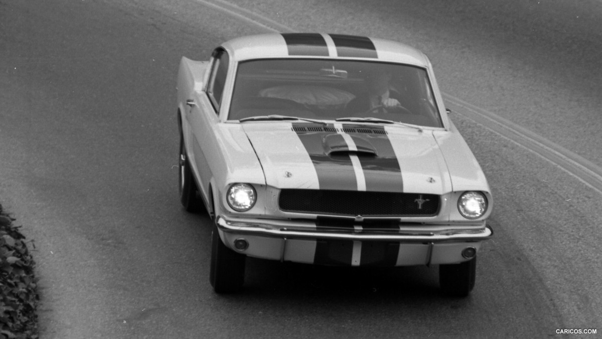 Ford Mustang Shelby GT350 фото 126854