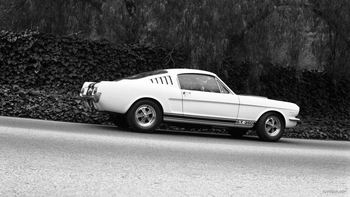 Ford Mustang Shelby GT350 фото 126855