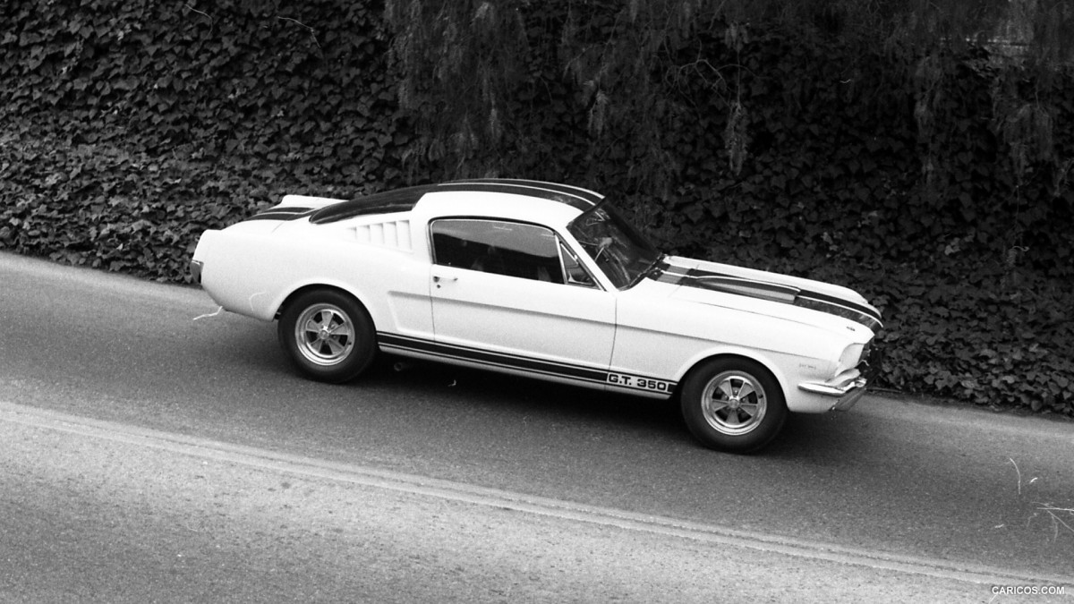 Ford Mustang Shelby GT350 фото 126856