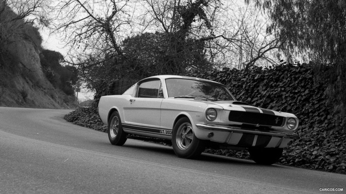 Ford Mustang Shelby GT350 фото 126857