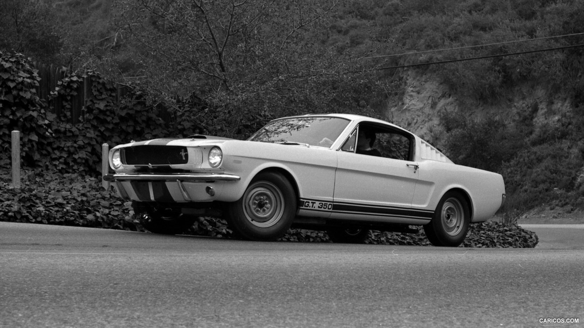 Ford Mustang Shelby GT350 фото 126858
