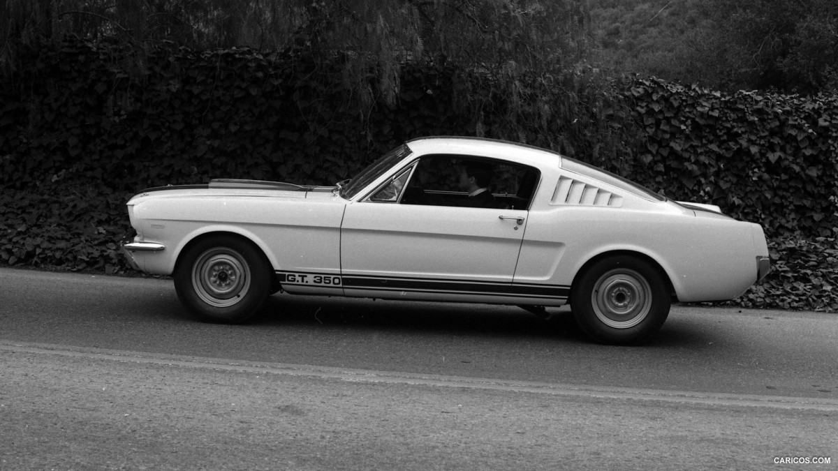 Ford Mustang Shelby GT350 фото 126860