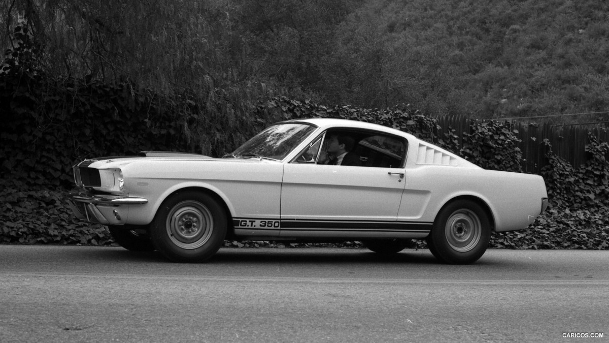 Ford Mustang Shelby GT350 фото 126862