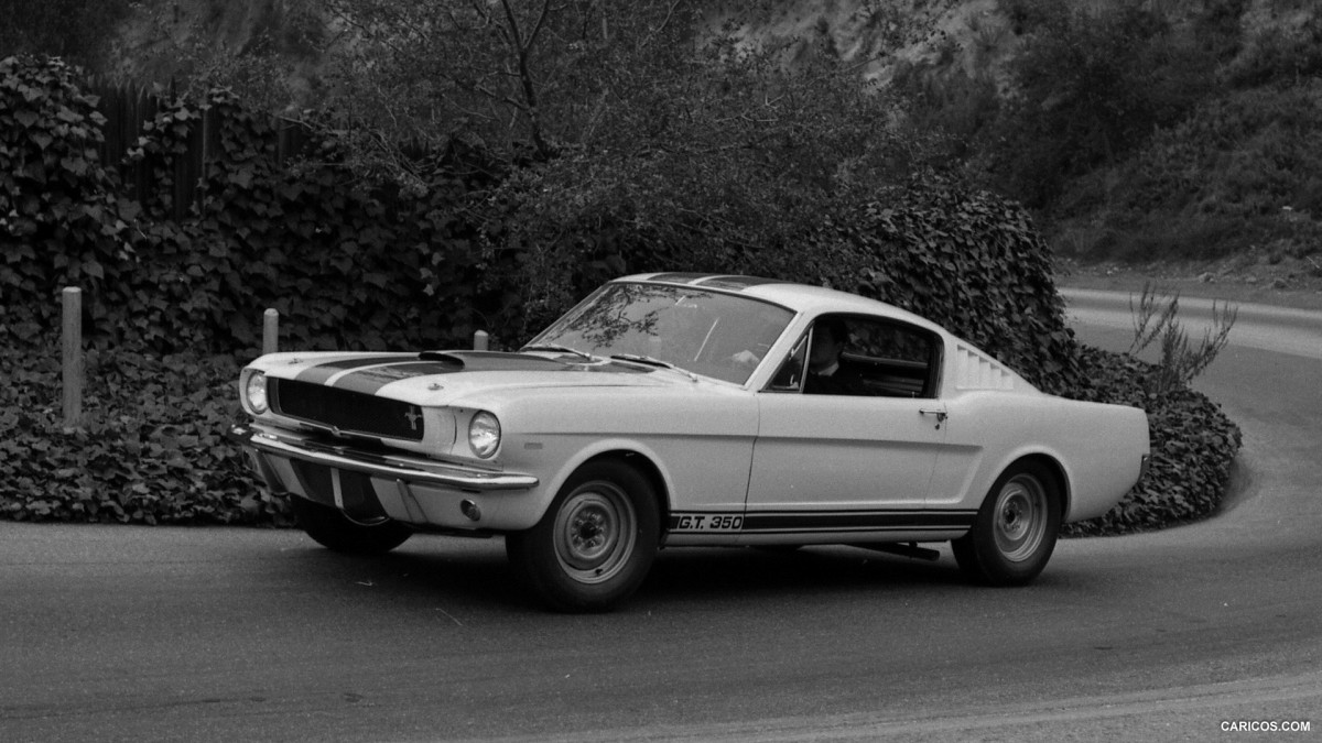 Ford Mustang Shelby GT350 фото 126863