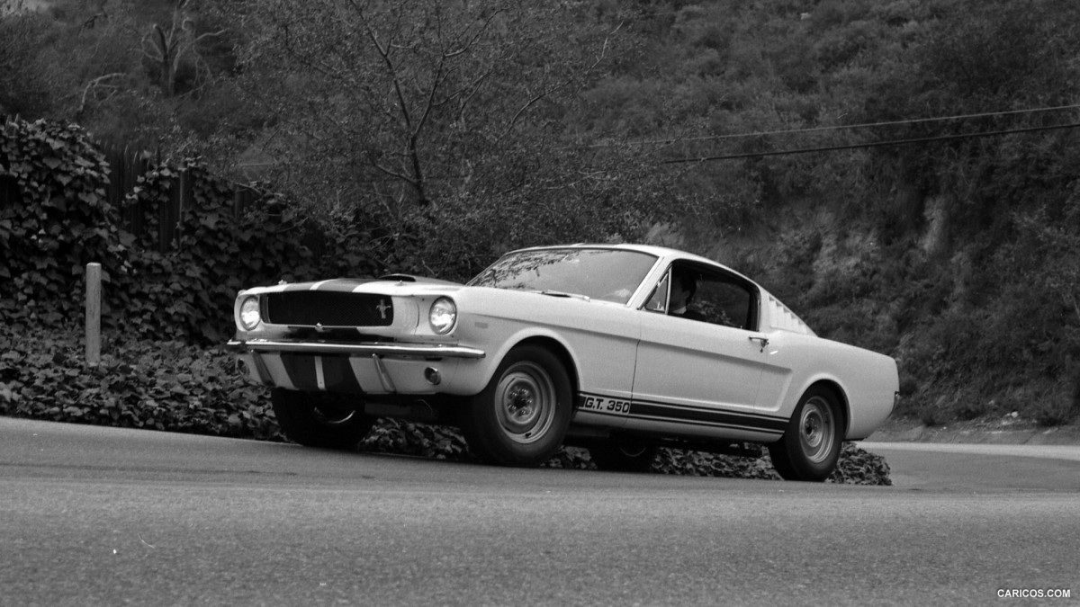 Ford Mustang Shelby GT350 фото 126864