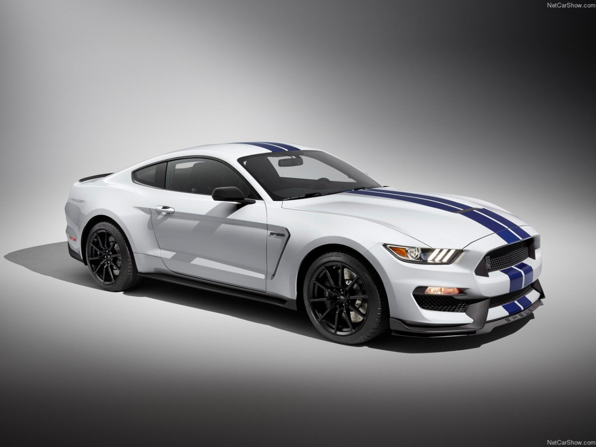 Ford Mustang Shelby GT350 фото 156013