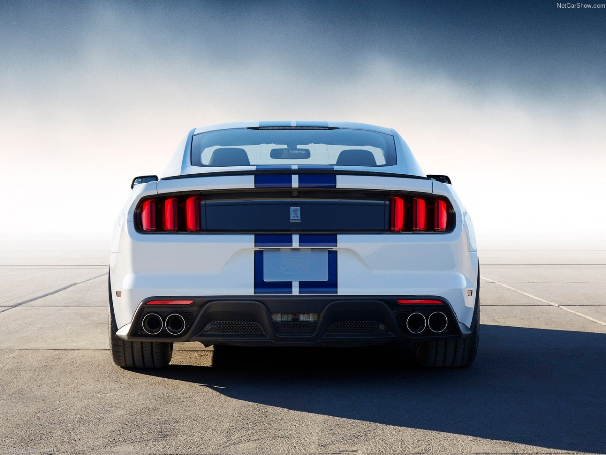 Ford Mustang Shelby GT350 фото 156014