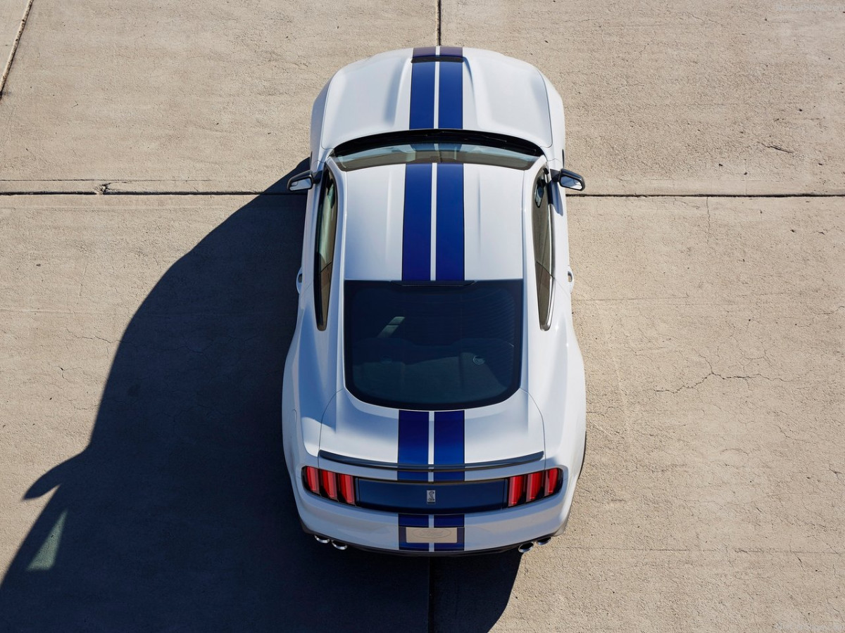 Ford Mustang Shelby GT350 фото 156015
