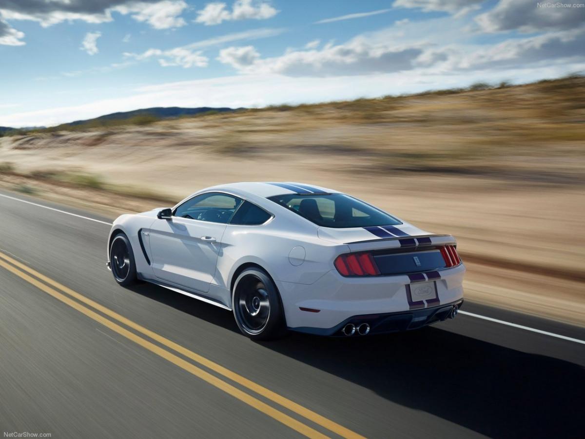 Ford Mustang Shelby GT350 фото 156020