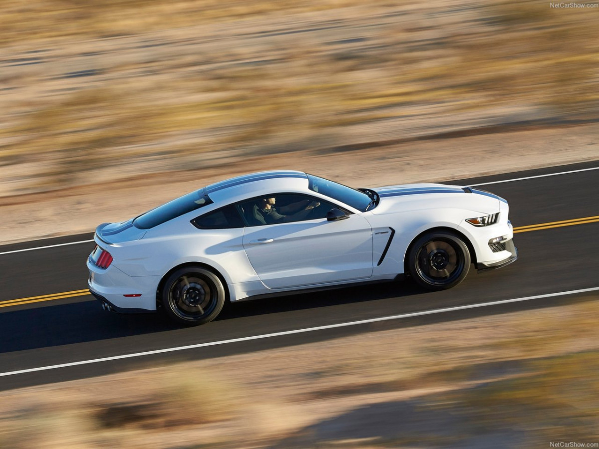 Ford Mustang Shelby GT350 фото 156025