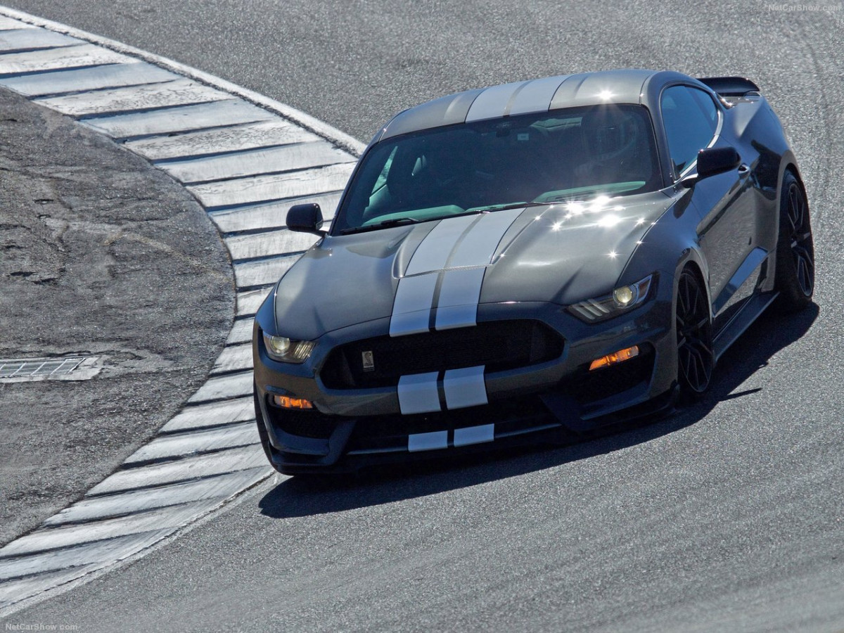 Ford Mustang Shelby GT350 фото 156030