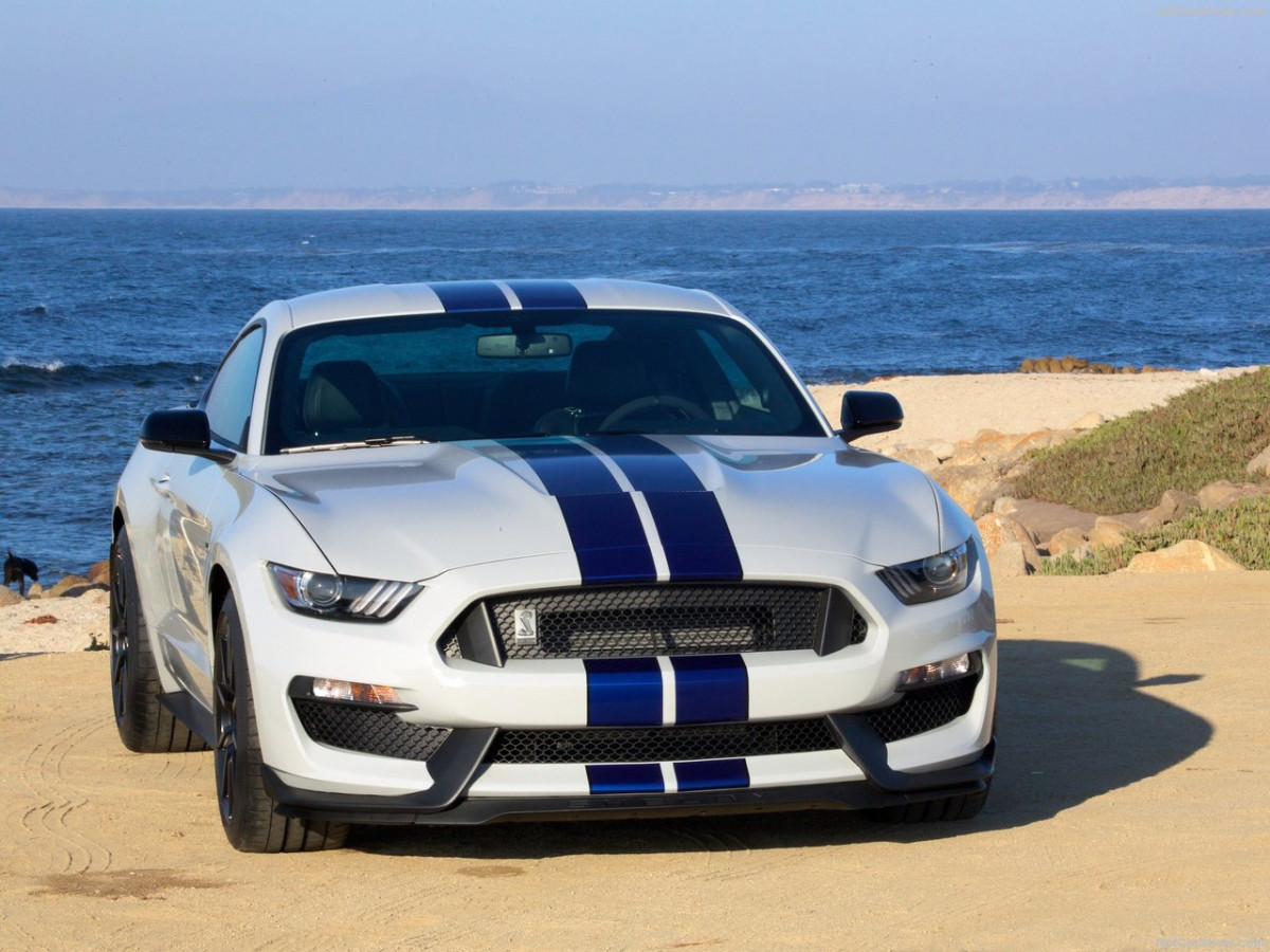 Ford Mustang Shelby GT350 фото 156031