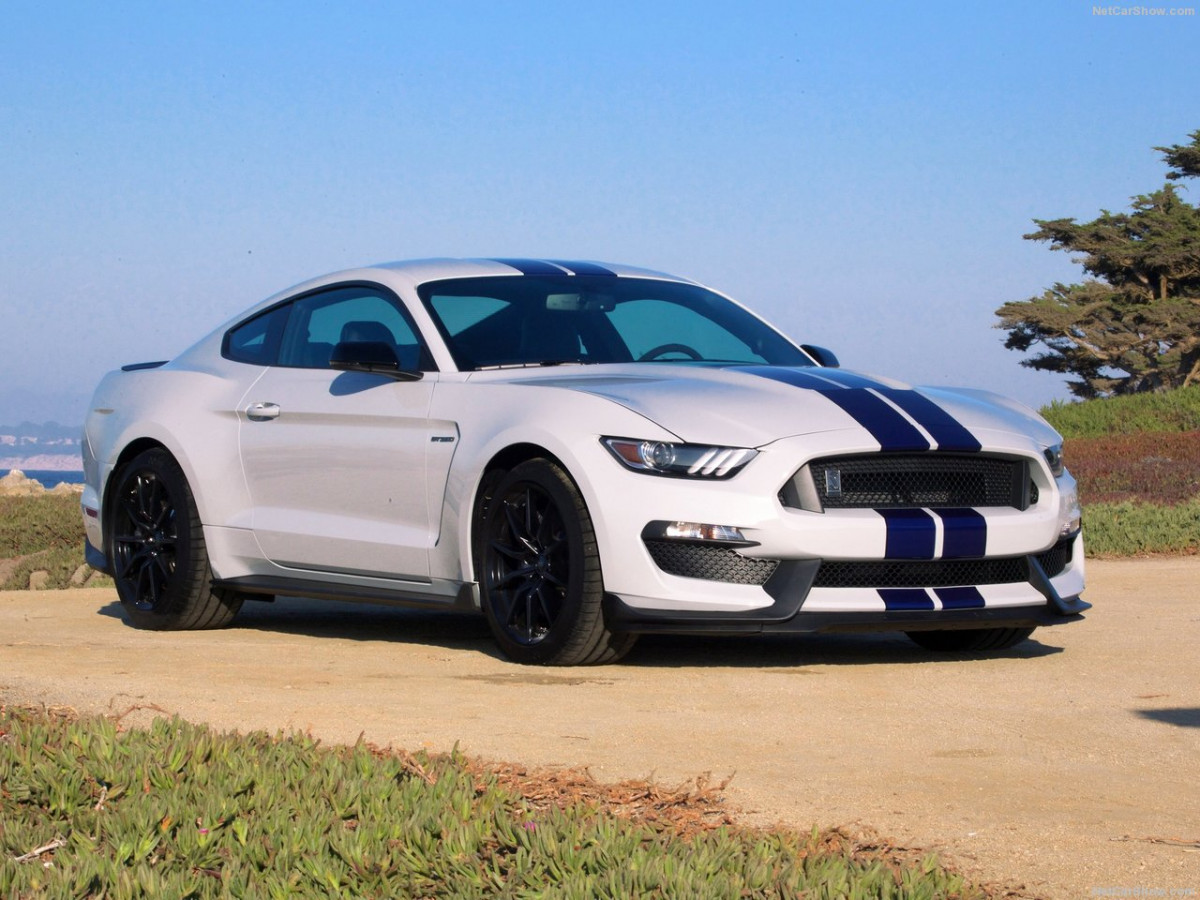 Ford Mustang Shelby GT350 фото 156033