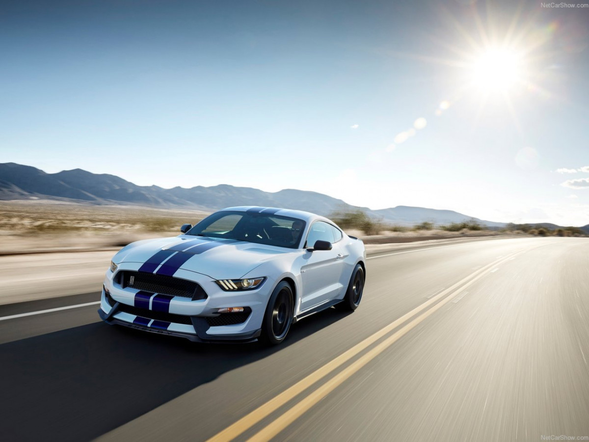 Ford Mustang Shelby GT350 фото 156034
