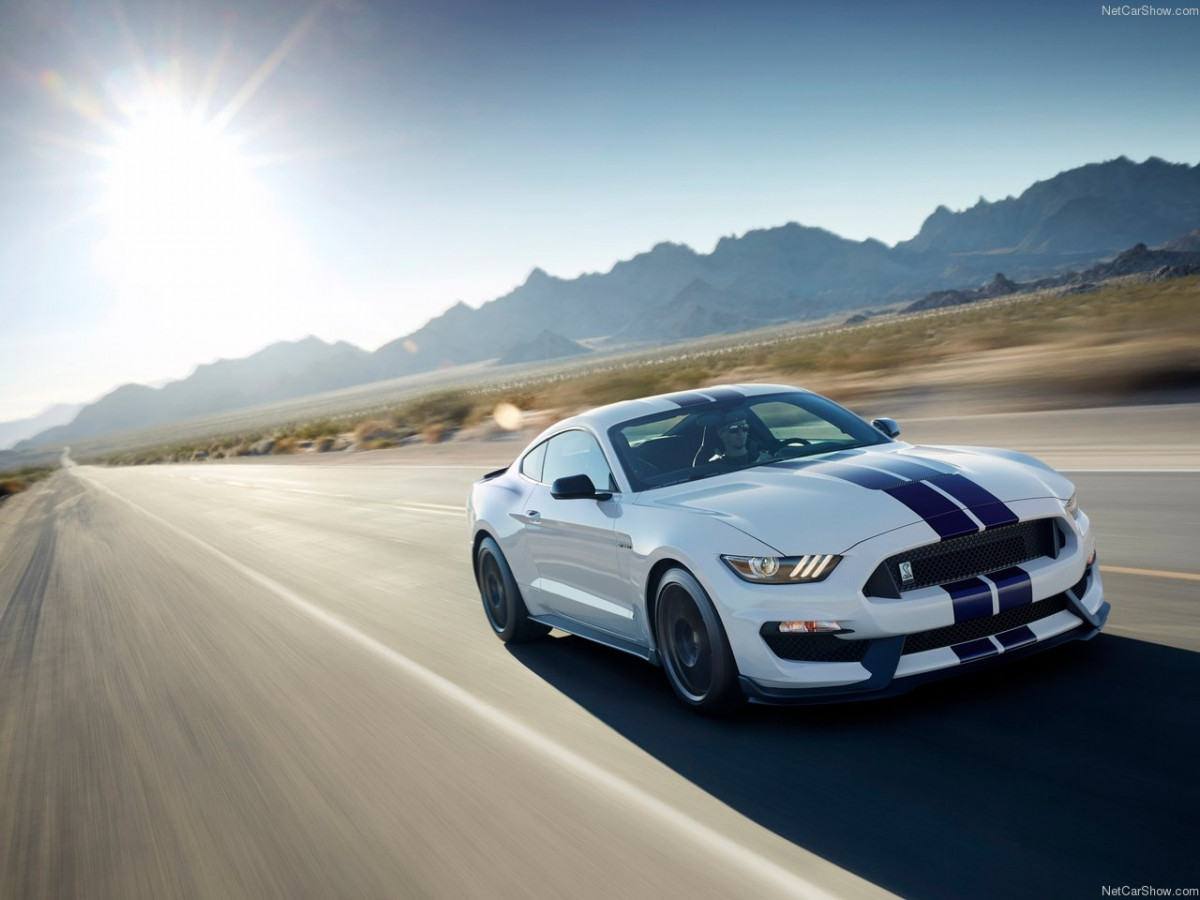 Ford Mustang Shelby GT350 фото 156035