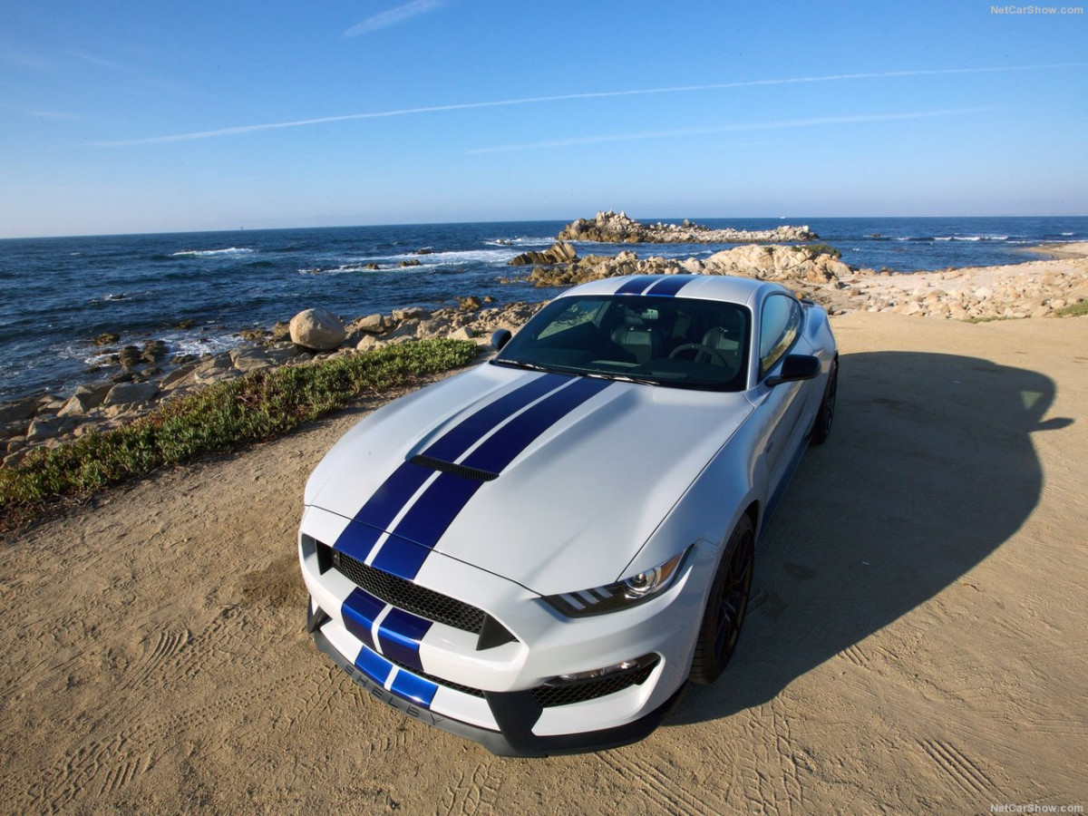 Ford Mustang Shelby GT350 фото 156036