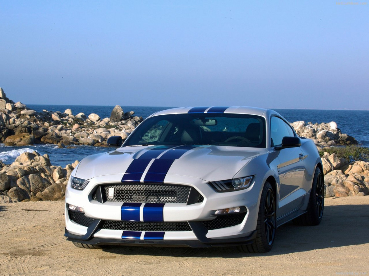 Ford Mustang Shelby GT350 фото 156037
