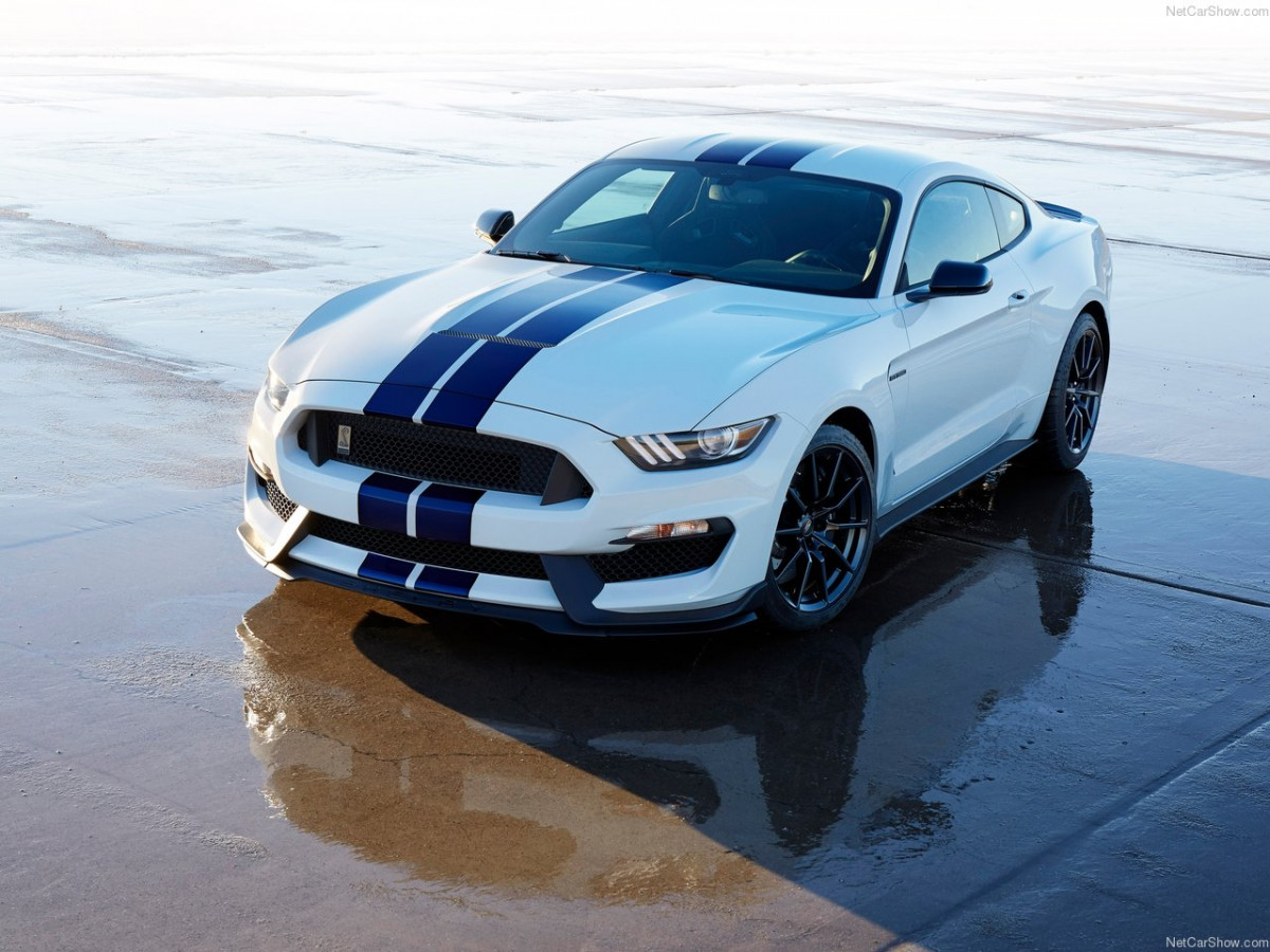 Ford Mustang Shelby GT350 фото 156038