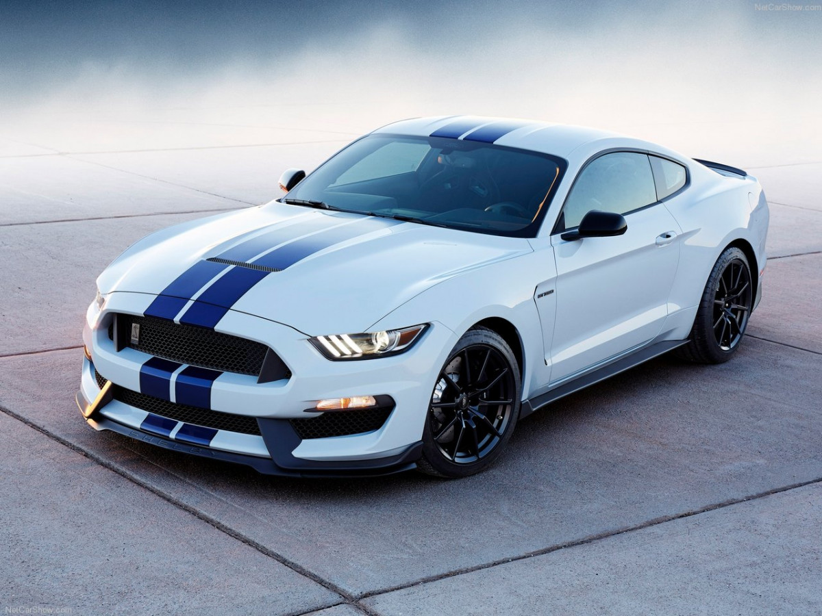 Ford Mustang Shelby GT350 фото 156039