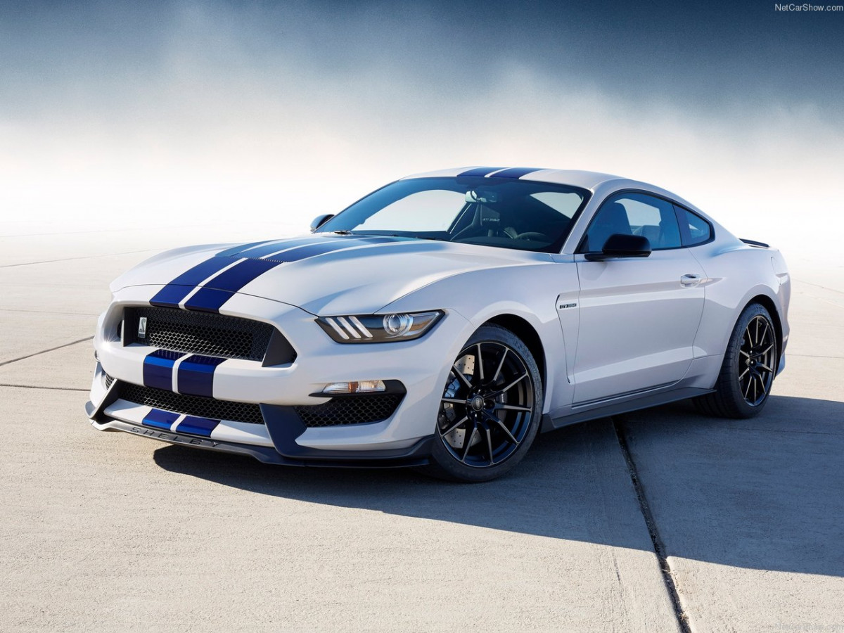 Ford Mustang Shelby GT350 фото 156040