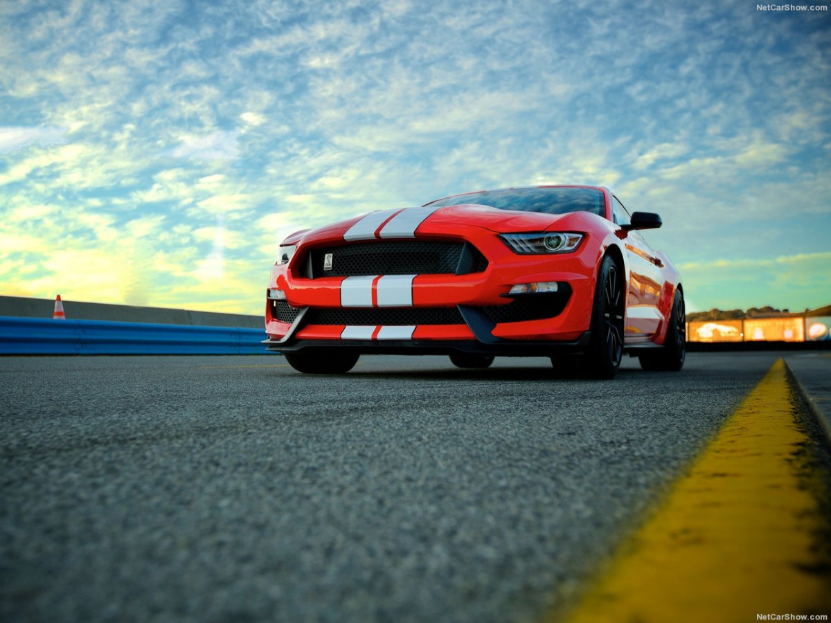Ford Mustang Shelby GT350 фото 156041