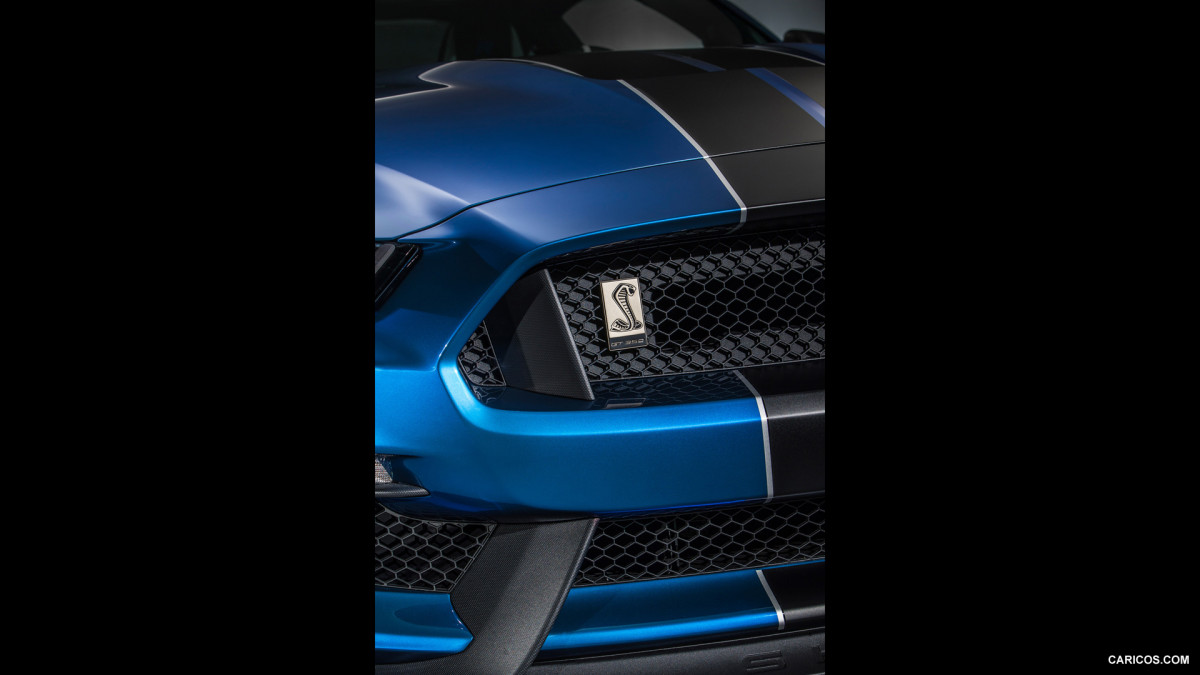 Ford Mustang Shelby GT350R фото 141191