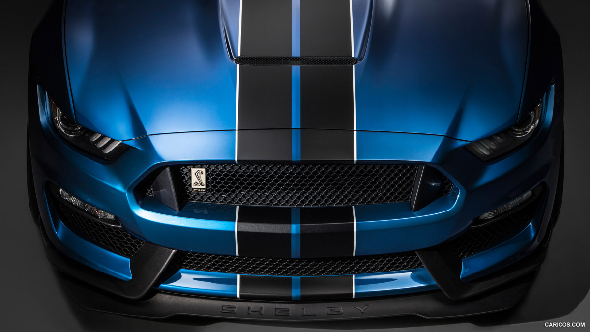 Ford Mustang Shelby GT350R фото 141192