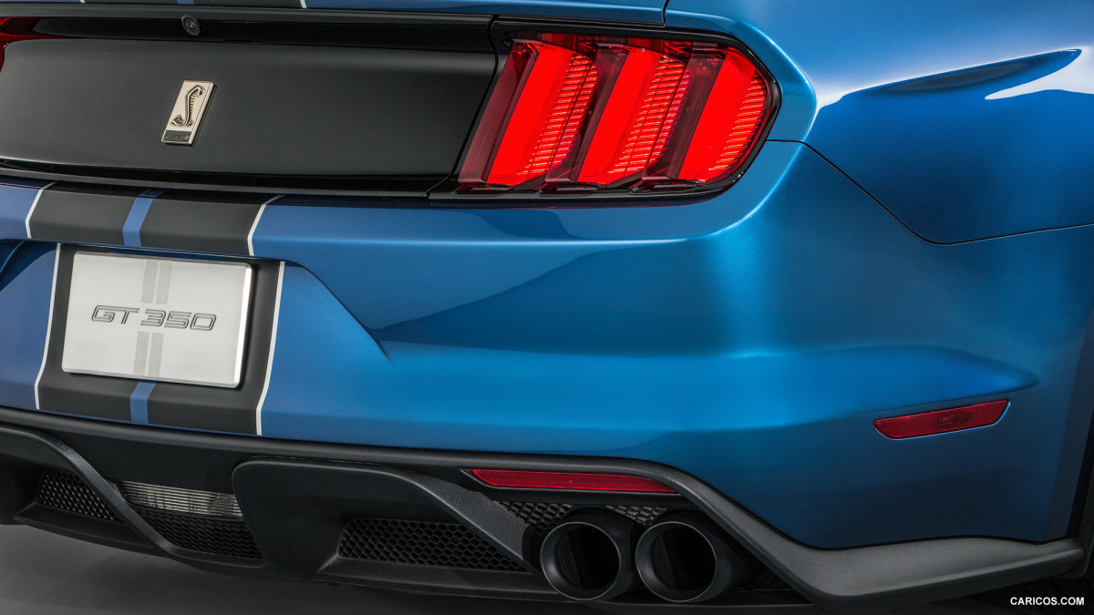 Ford Mustang Shelby GT350R фото 141208