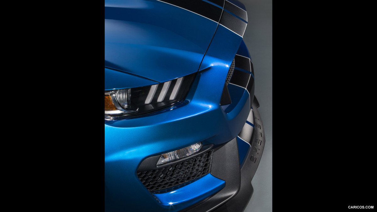 Ford Mustang Shelby GT350R фото 141214