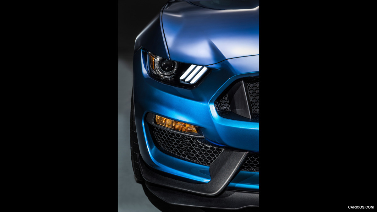 Ford Mustang Shelby GT350R фото 141215