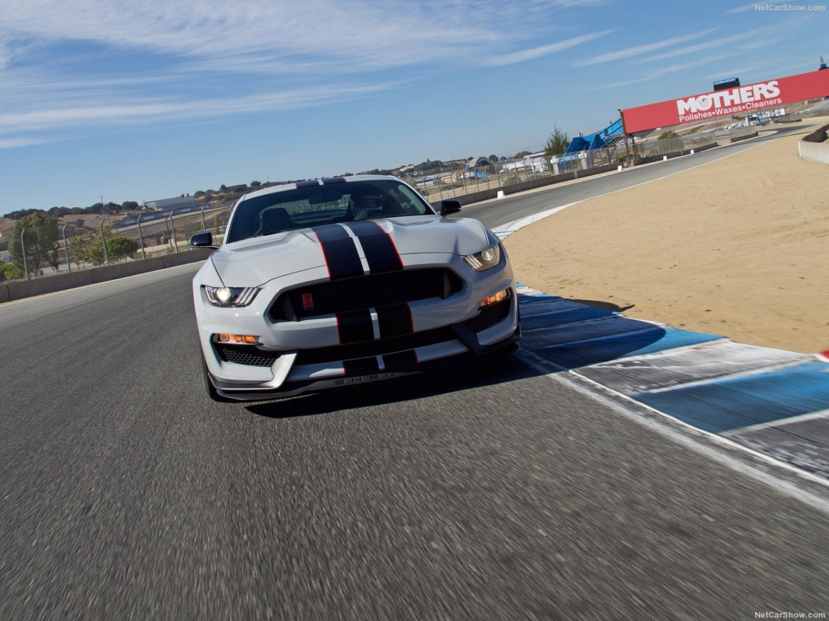 Ford Mustang Shelby GT350R фото 156046
