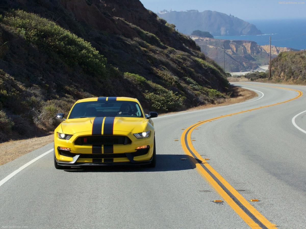 Ford Mustang Shelby GT350R фото 156047