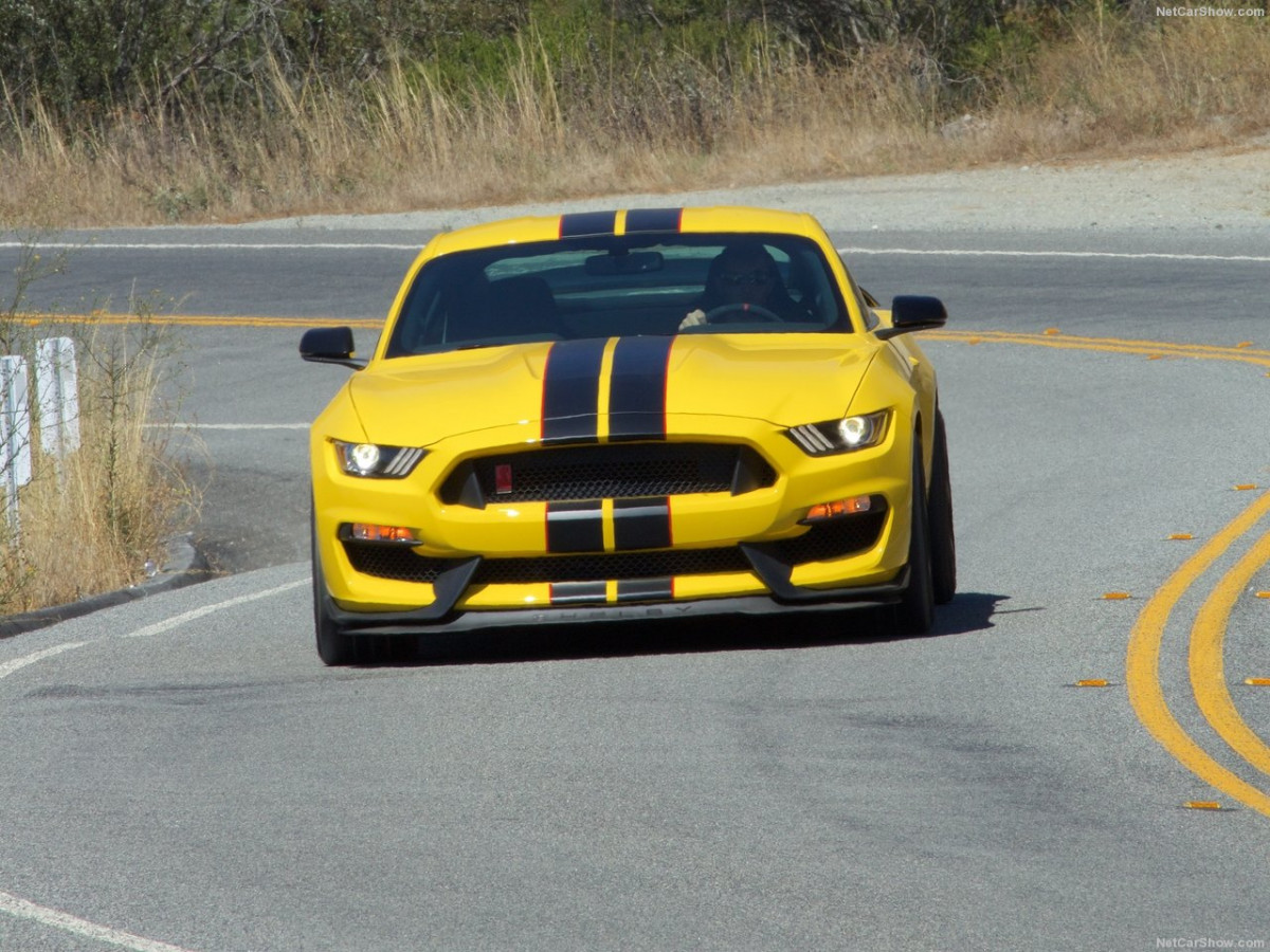 Ford Mustang Shelby GT350R фото 156048