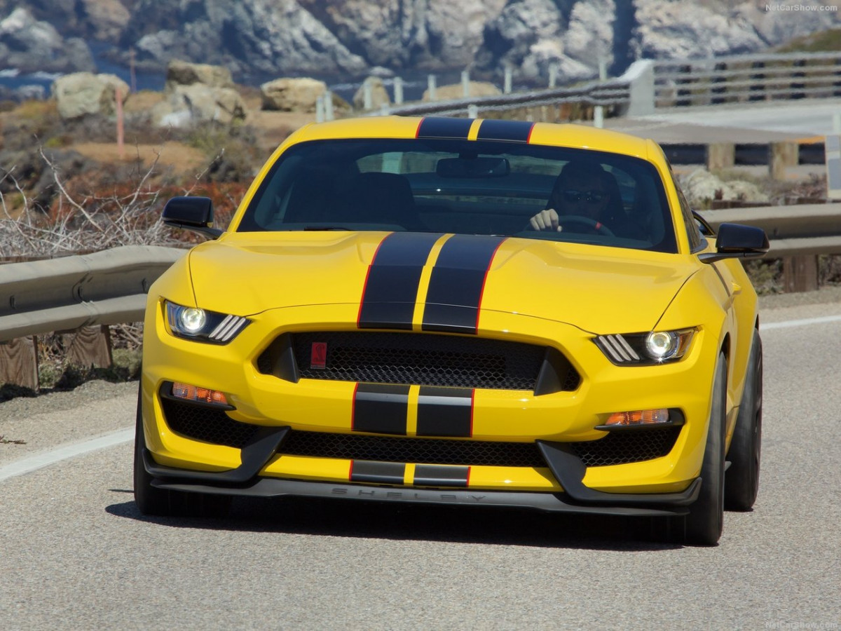 Ford Mustang Shelby GT350R фото 156049