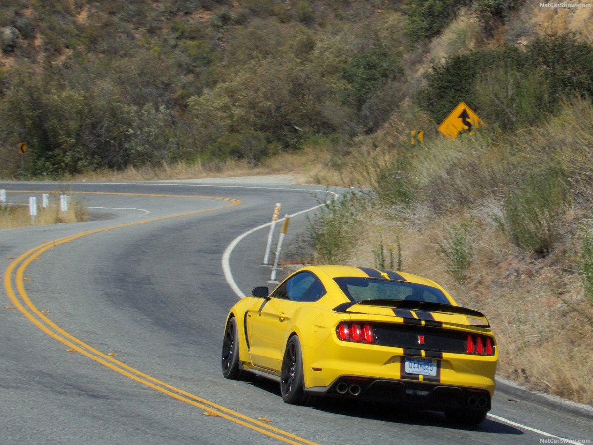 Ford Mustang Shelby GT350R фото 156050