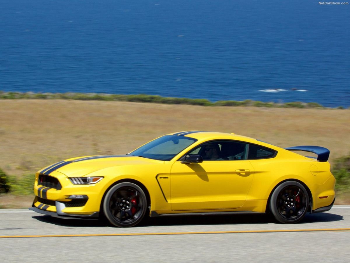 Ford Mustang Shelby GT350R фото 156053