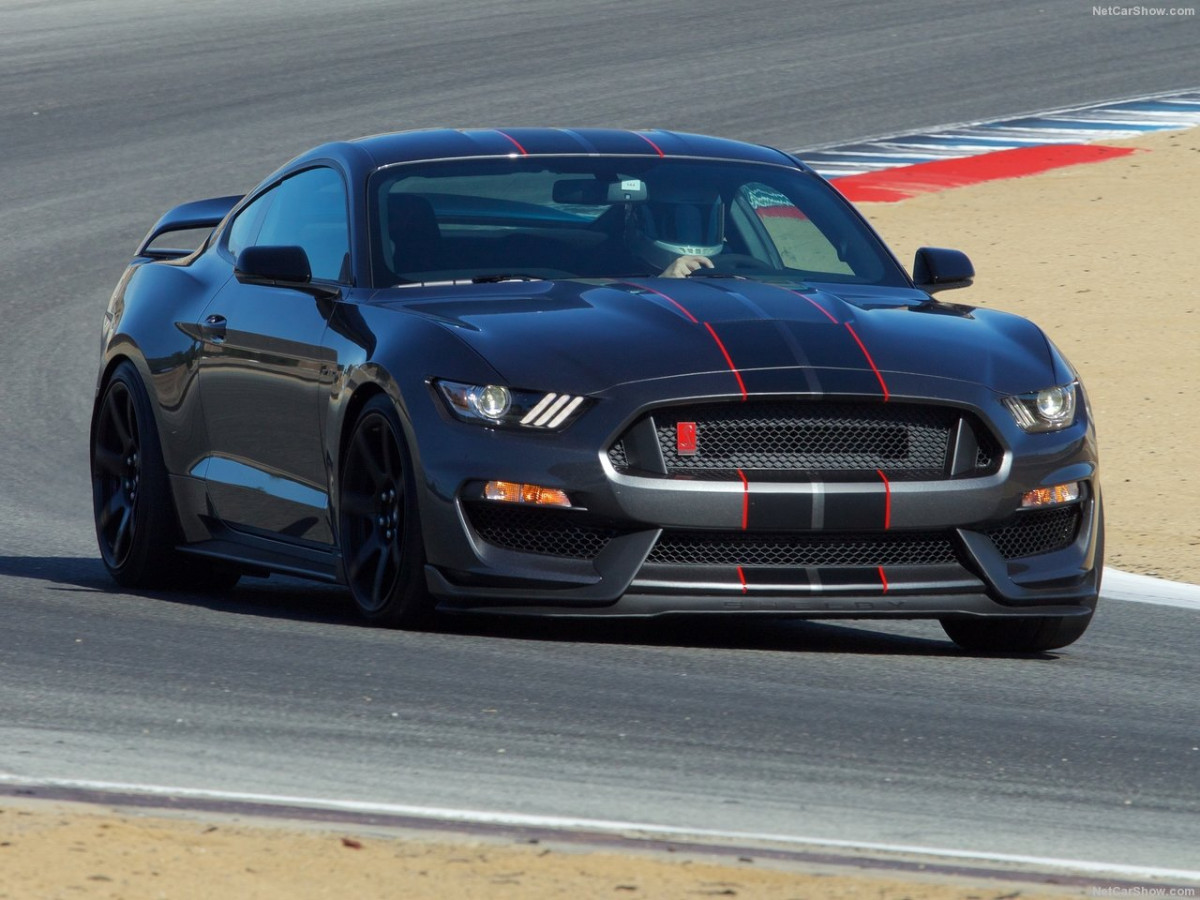 Ford Mustang Shelby GT350R фото 156064
