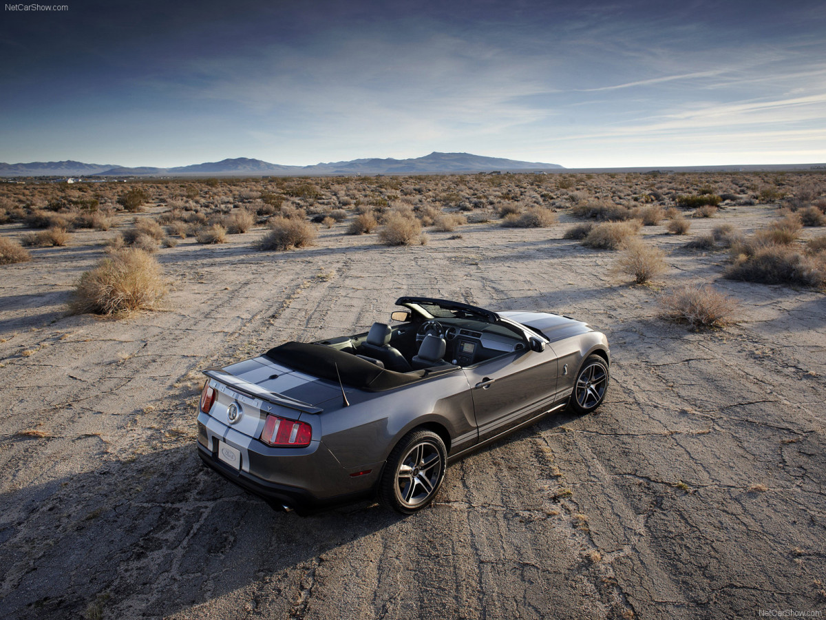 Ford Mustang Shelby GT500 Convertible фото 61832