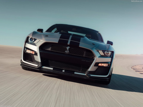 Ford Mustang Shelby GT500 фото