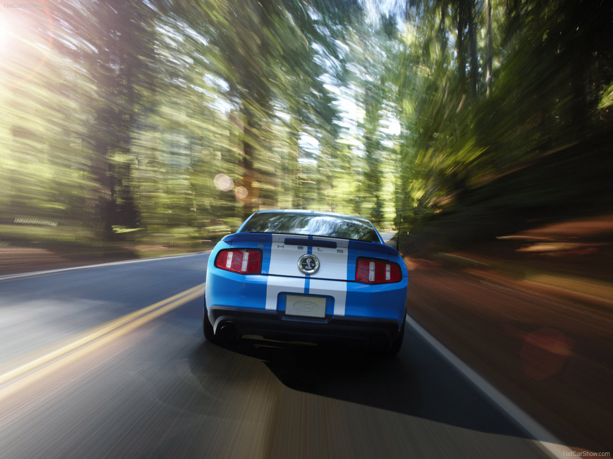Ford Mustang Shelby GT500 фото 61836
